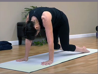 Demo of cat stretch for article on warming up before a workout